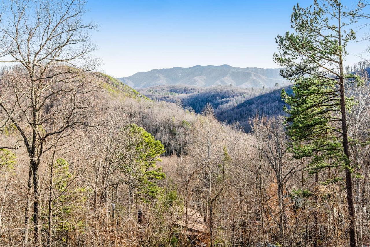 Triple Mountain View Villa Гетлинбург Екстериор снимка