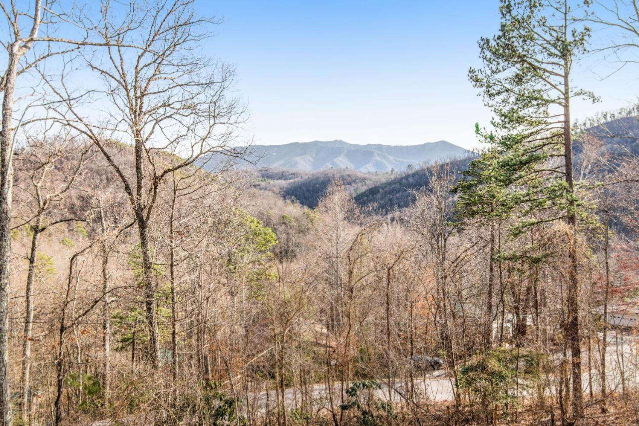 Triple Mountain View Villa Гетлинбург Екстериор снимка
